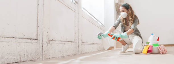 Why You Should Choose Our Mold Remediation Services in North Little Rock, AR